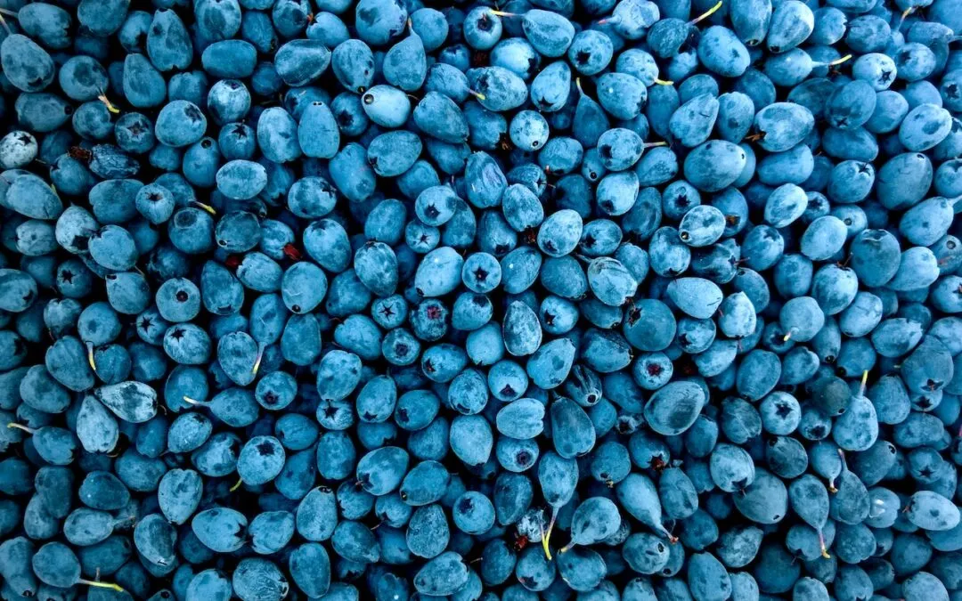 Los mejores alimentos para cuidar tu corazón