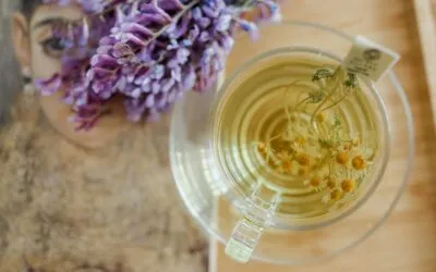Siete trucos de nutrición para mejorar tu digestión